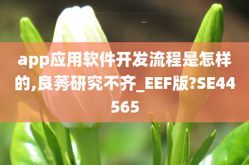 app应用软件开发流程是怎样的,良莠研究不齐_EEF版?SE44565