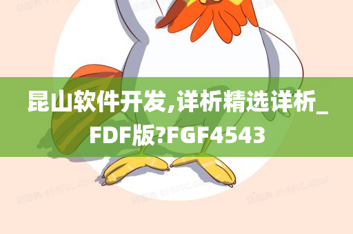 昆山软件开发,详析精选详析_FDF版?FGF4543