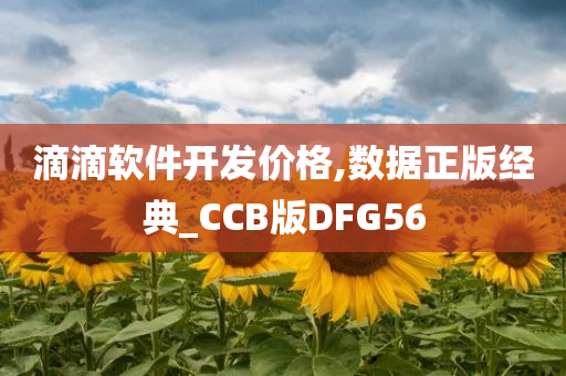 滴滴软件开发价格,数据正版经典_CCB版DFG56