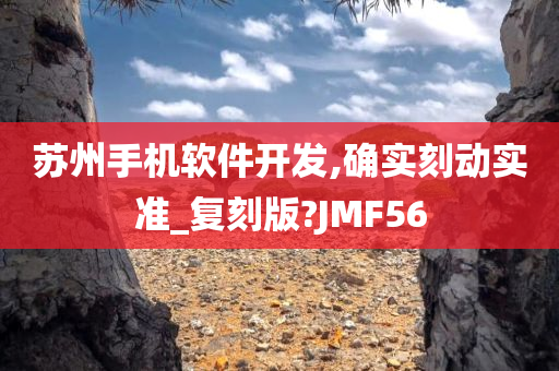 苏州手机软件开发,确实刻动实准_复刻版?JMF56