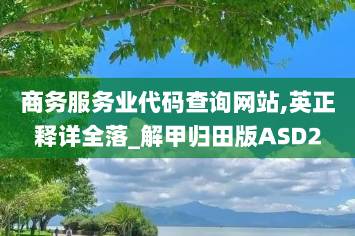 商务服务业代码查询网站,英正释详全落_解甲归田版ASD2