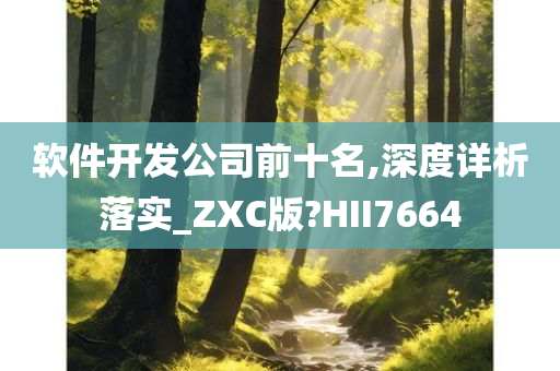 软件开发公司前十名,深度详析落实_ZXC版?HII7664