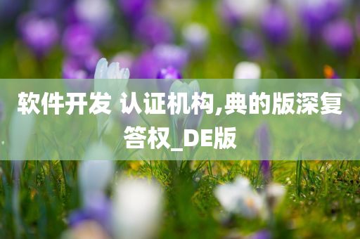 软件开发 认证机构,典的版深复答权_DE版