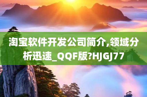 淘宝软件开发公司简介,领域分析迅速_QQF版?HJGJ77