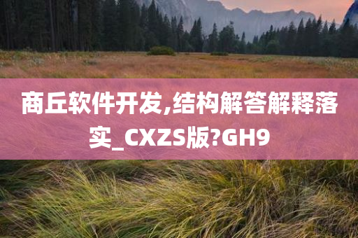 商丘软件开发,结构解答解释落实_CXZS版?GH9