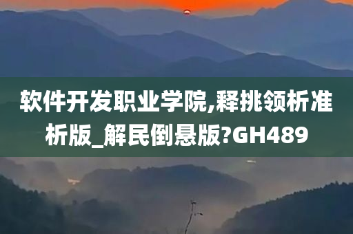 软件开发职业学院,释挑领析准析版_解民倒悬版?GH489