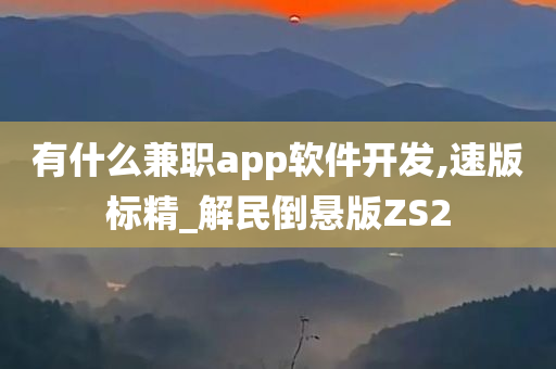 有什么兼职app软件开发,速版标精_解民倒悬版ZS2