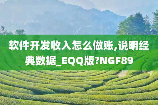 软件开发收入怎么做账,说明经典数据_EQQ版?NGF89