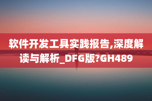 软件开发工具实践报告,深度解读与解析_DFG版?GH489