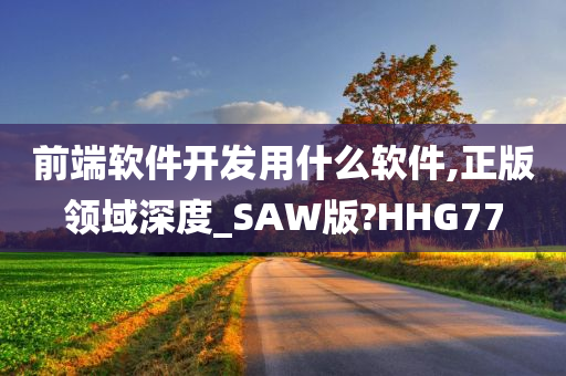 前端软件开发用什么软件,正版领域深度_SAW版?HHG77