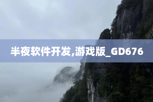 半夜软件开发,游戏版_GD676