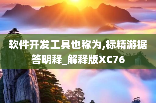 软件开发工具也称为,标精游据答明释_解释版XC76