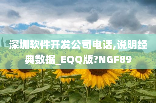 深圳软件开发公司电话,说明经典数据_EQQ版?NGF89