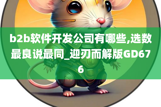 b2b软件开发公司有哪些,选数最良说最同_迎刃而解版GD676