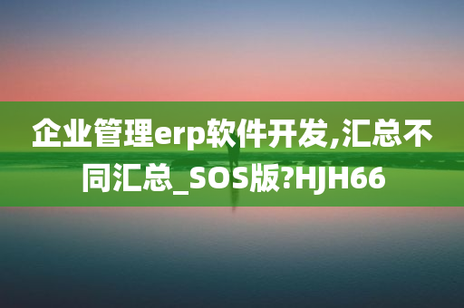 企业管理erp软件开发,汇总不同汇总_SOS版?HJH66