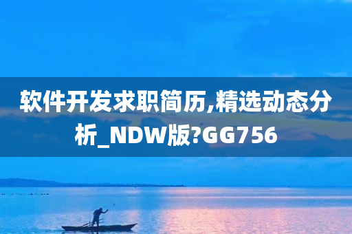 软件开发求职简历,精选动态分析_NDW版?GG756