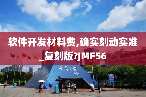 软件开发材料费,确实刻动实准_复刻版?JMF56