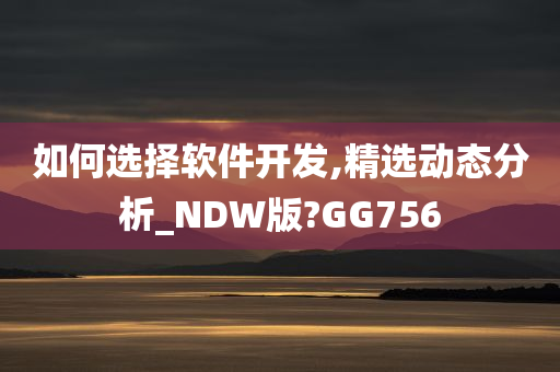 如何选择软件开发,精选动态分析_NDW版?GG756