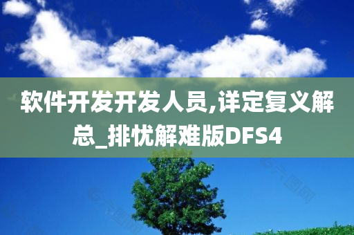 软件开发开发人员,详定复义解总_排忧解难版DFS4