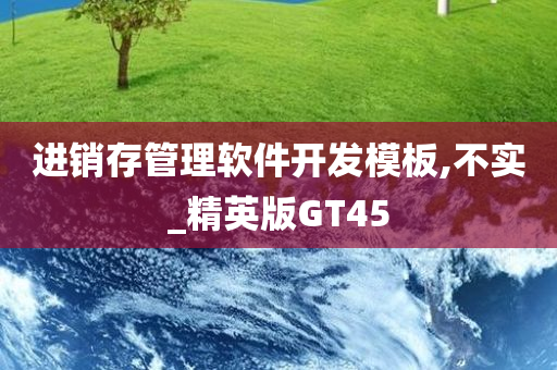 进销存管理软件开发模板,不实_精英版GT45