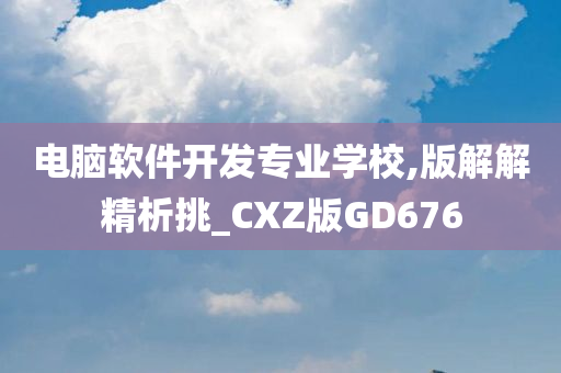 电脑软件开发专业学校,版解解精析挑_CXZ版GD676