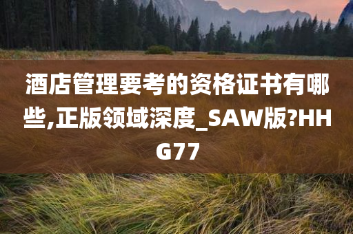 酒店管理要考的资格证书有哪些,正版领域深度_SAW版?HHG77