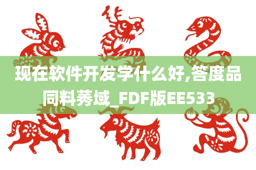 现在软件开发学什么好,答度品同料莠域_FDF版EE533