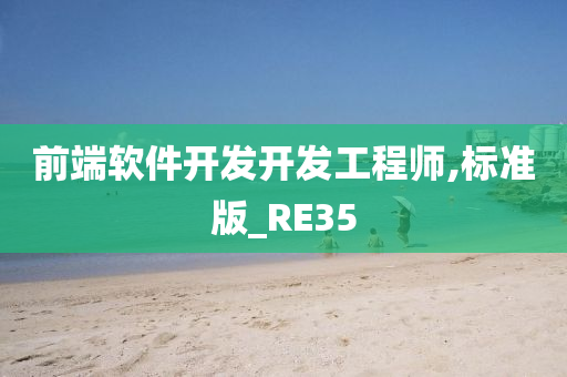 前端软件开发开发工程师,标准版_RE35