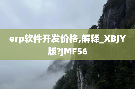 erp软件开发价格,解释_XBJY版?JMF56