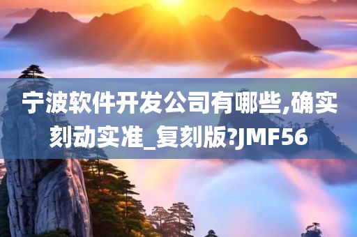 宁波软件开发公司有哪些,确实刻动实准_复刻版?JMF56