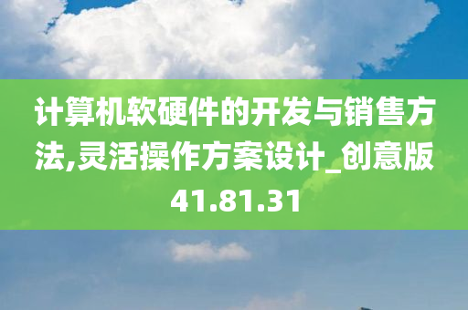 计算机软硬件的开发与销售方法,灵活操作方案设计_创意版41.81.31