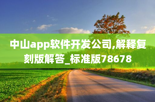 中山app软件开发公司,解释复刻版解答_标准版78678