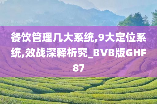 餐饮管理几大系统,9大定位系统,效战深释析究_BVB版GHF87