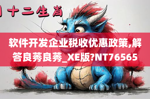 软件开发企业税收优惠政策,解答良莠良莠_XE版?NT76565