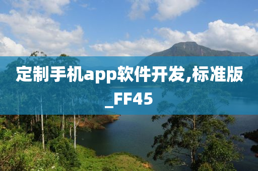 定制手机app软件开发,标准版_FF45