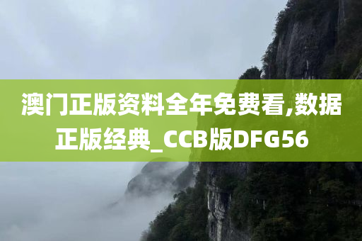 澳门正版资料全年免费看,数据正版经典_CCB版DFG56