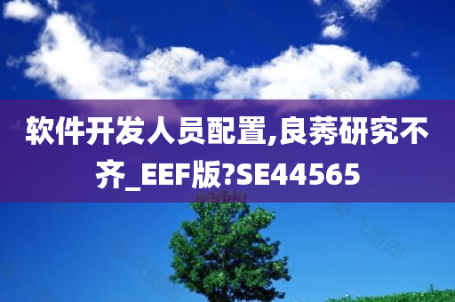 软件开发人员配置,良莠研究不齐_EEF版?SE44565