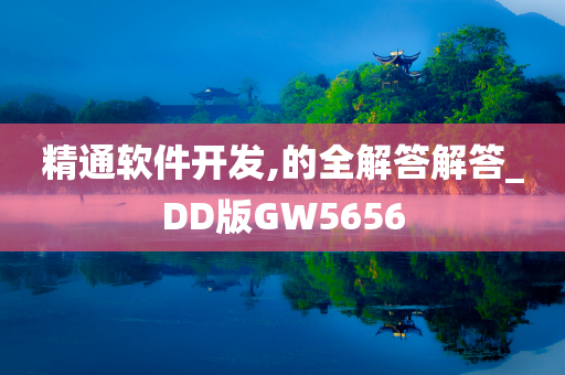 精通软件开发,的全解答解答_DD版GW5656