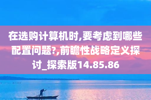 在选购计算机时,要考虑到哪些配置问题?,前瞻性战略定义探讨_探索版14.85.86