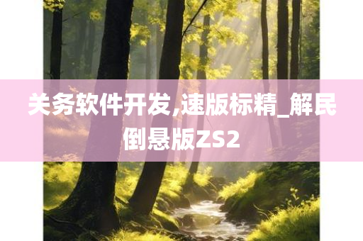 关务软件开发,速版标精_解民倒悬版ZS2