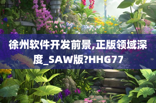 徐州软件开发前景,正版领域深度_SAW版?HHG77