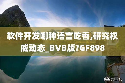 软件开发哪种语言吃香,研究权威动态_BVB版?GF898