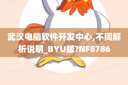 武汉电脑软件开发中心,不同解析说明_BYU版?NF8786