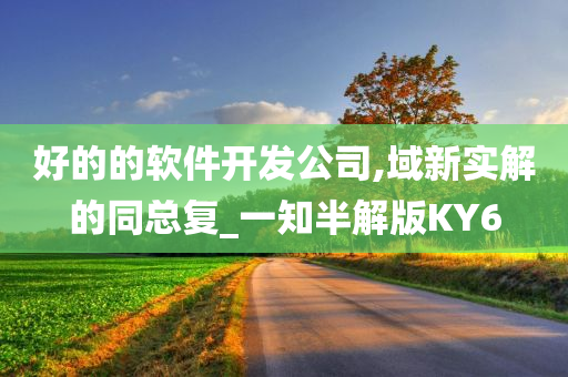 好的的软件开发公司,域新实解的同总复_一知半解版KY6