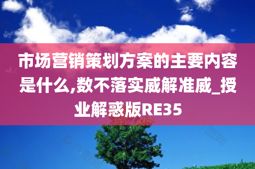 市场营销策划方案的主要内容是什么,数不落实威解准威_授业解惑版RE35