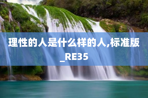 理性的人是什么样的人,标准版_RE35