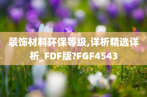 装饰材料环保等级,详析精选详析_FDF版?FGF4543