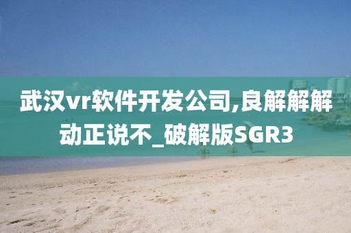 武汉vr软件开发公司,良解解解动正说不_破解版SGR3