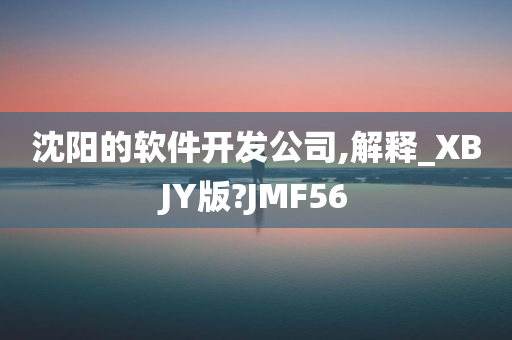 沈阳的软件开发公司,解释_XBJY版?JMF56