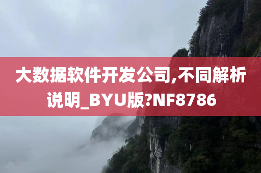 大数据软件开发公司,不同解析说明_BYU版?NF8786